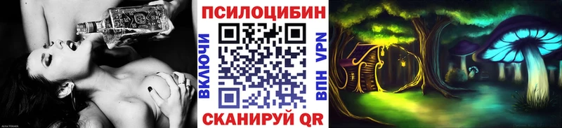 Псилоцибиновые грибы Cubensis  как найти закладки  Можга 