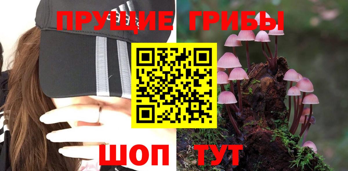 Псилоцибиновые грибы мухоморы  Вход с VPN  Можга  Галлюциногенные грибы Psilocybine cubensis 