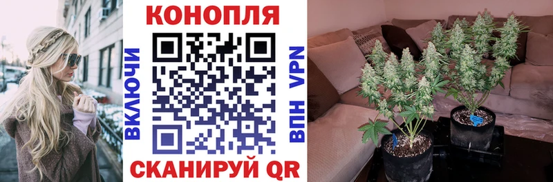 ОМГ ОМГ вход  Можга  Канабис гибрид  где можно купить наркотик 